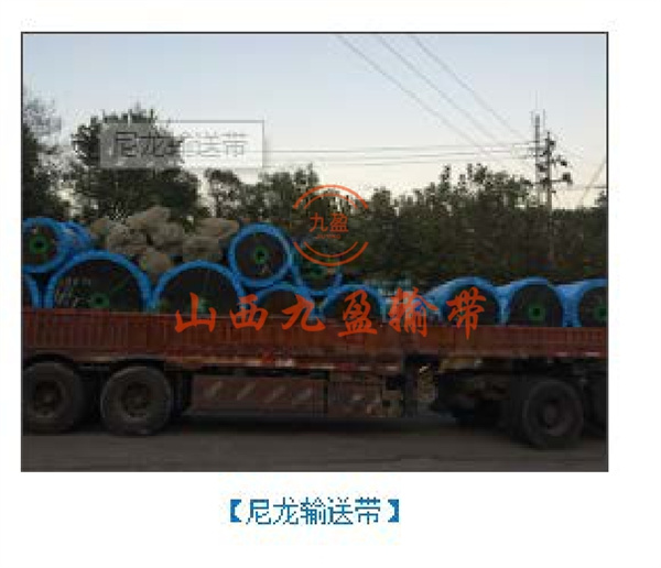 尼龙输送带