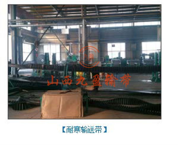 耐寒输送带